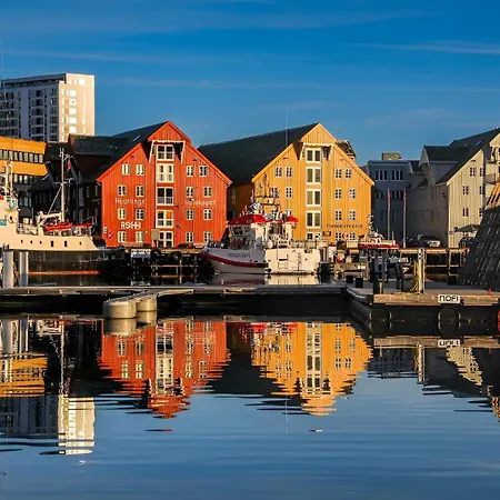 Polar Nights Cozy Hideaway L Free Parking Tromso